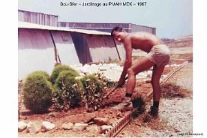 143- BIS AERODROME-ET-BASE-1945-1962-27-  (29) BOU SFER